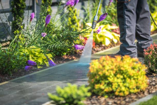 Trusted New Berlinville, PA  Pressure Washing Services Experts
